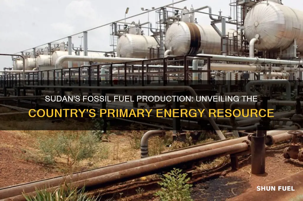 what fossil fuel does sudan produce