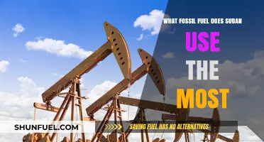 Sudan's Primary Fossil Fuel: Uncovering the Nation's Top Energy Source