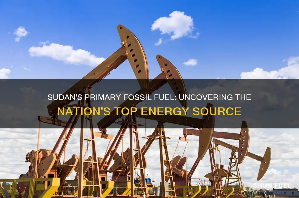 what fossil fuel does sudan use the most