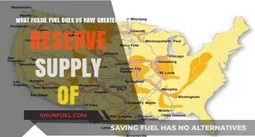 America's Energy Dominance: The Fossil Fuel with the Largest Reserves