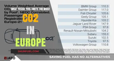 Europe's Top CO2 Emitter: Which Fossil Fuel Dominates Emissions?