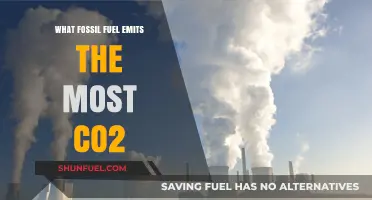 Which Fossil Fuel Produces the Highest CO2 Emissions?