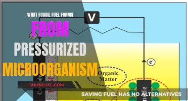 The Origin of Fossil Fuels: Pressurized Microorganisms