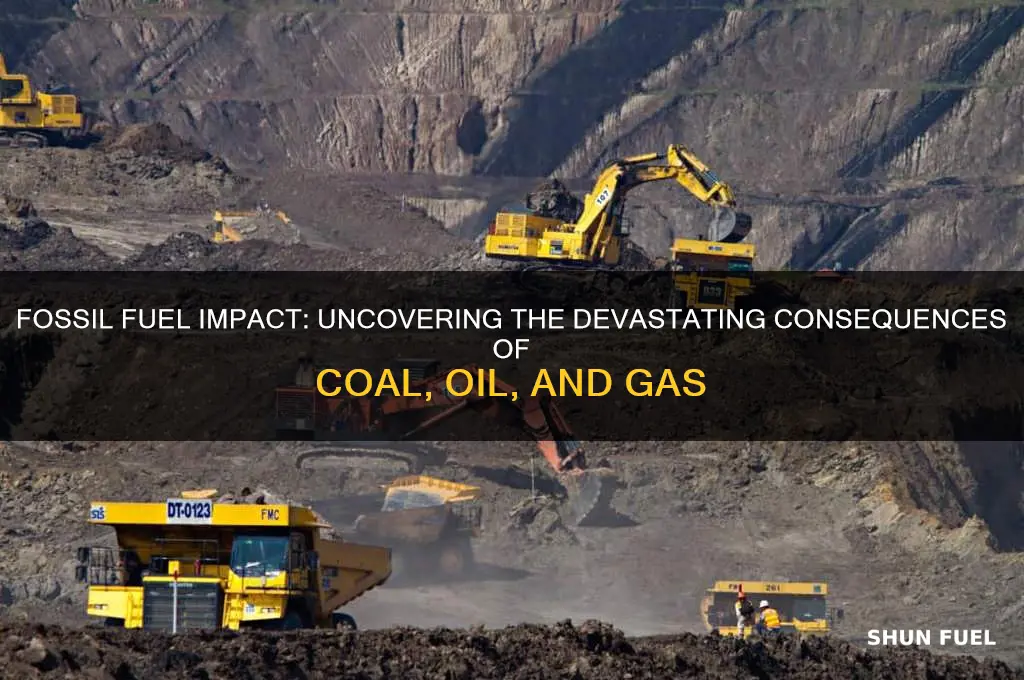 what fossil fuel has caused