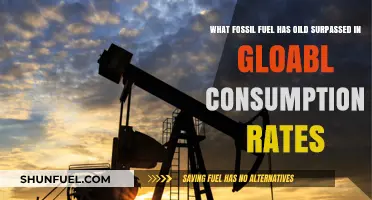 Oil Overtakes Coal: A Shift in Global Energy Consumption Trends