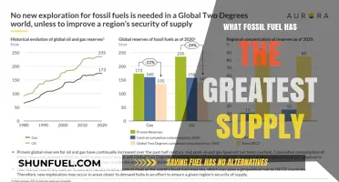 Global Energy Reserves: Which Fossil Fuel Dominates Supply Today?