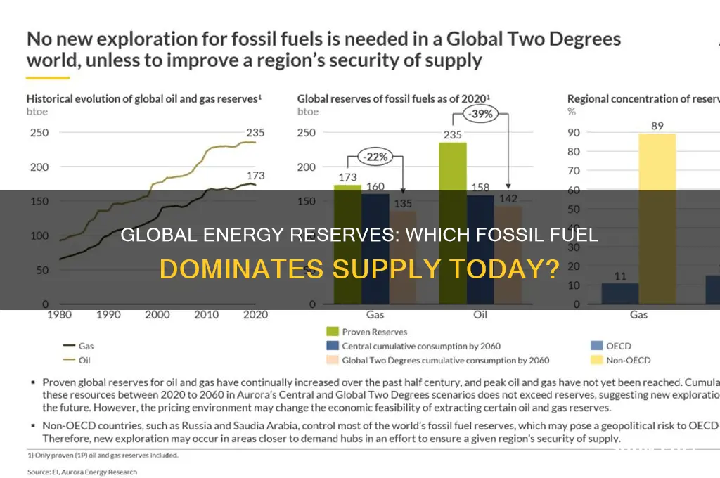 what fossil fuel has the greatest supply