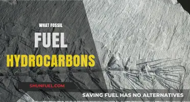 Understanding Fossil Fuel Hydrocarbons: Origins, Uses, and Environmental Impact
