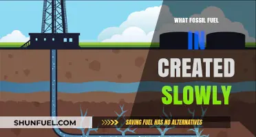 How Fossil Fuels Form: The Slow Creation of Earth's Energy Reserves