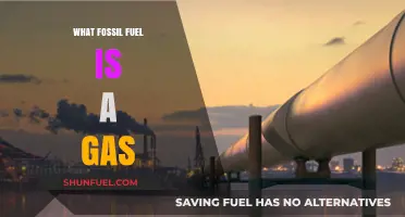 Understanding Natural Gas: The Fossil Fuel That Exists as a Gas