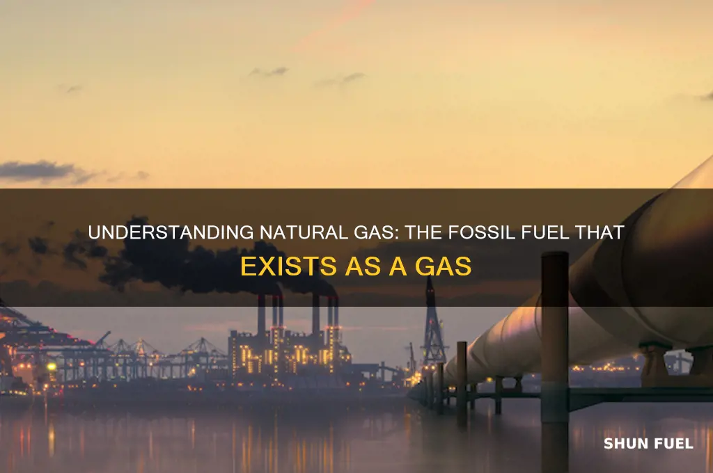 what fossil fuel is a gas