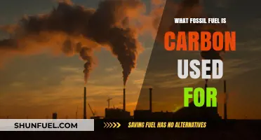 Carbon's Role in Fossil Fuels: Energy Sources and Industrial Uses