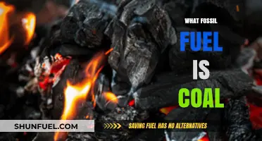 Understanding Coal: The Fossil Fuel Powering Industries and Energy Grids
