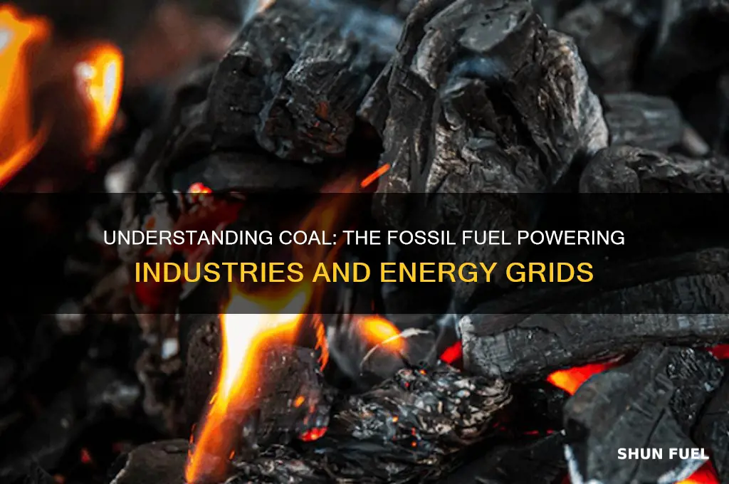 what fossil fuel is coal
