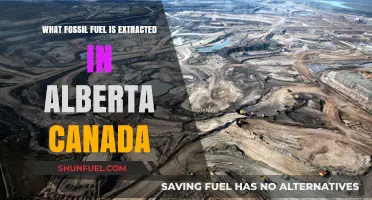 Alberta's Energy Source: Extracting Oil Sands and Natural Gas
