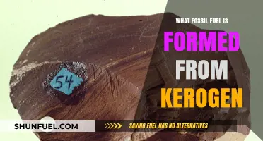 Kerogen's Transformation: The Origin of Oil Shale Explained