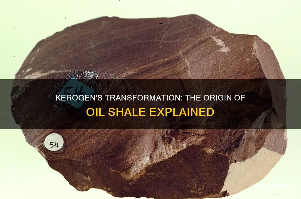 what fossil fuel is formed from kerogen