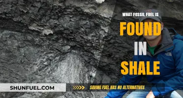 Shale's Hidden Treasure: Unveiling the Fossil Fuel Within