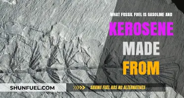 Gasoline and Kerosene Origins: The Fossil Fuel Source Explained