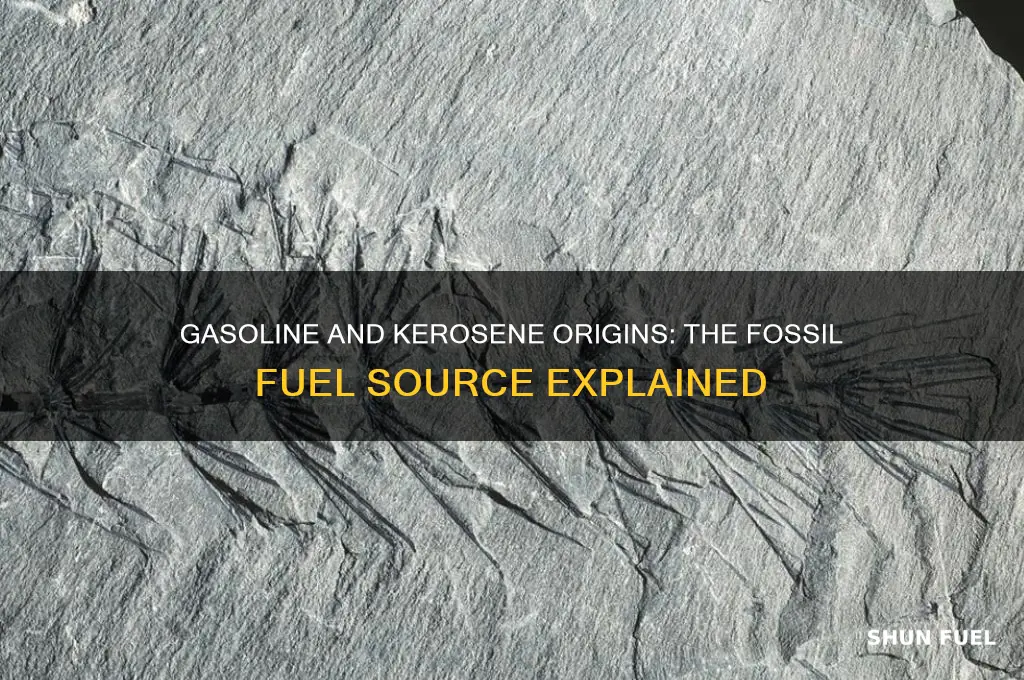 what fossil fuel is gasoline and kerosene made from