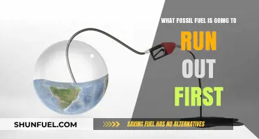 Which Fossil Fuel Faces Imminent Depletion: Coal, Oil, or Gas?