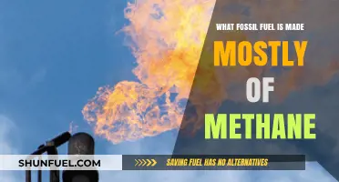 Methane's Dominance: Unveiling the Primary Fossil Fuel Composition
