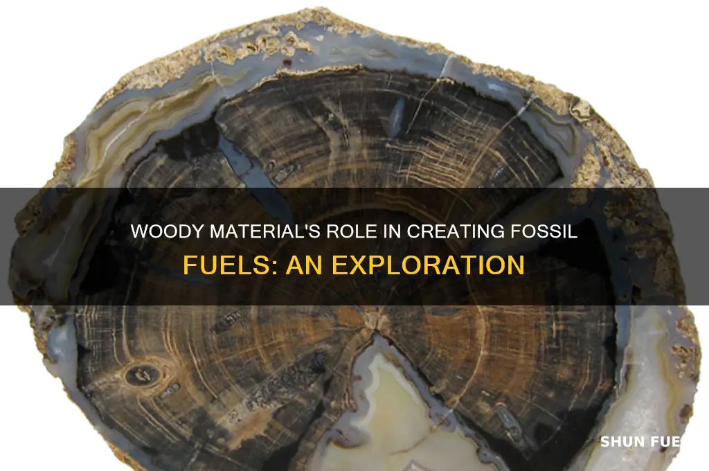 what fossil fuel is made of woody material