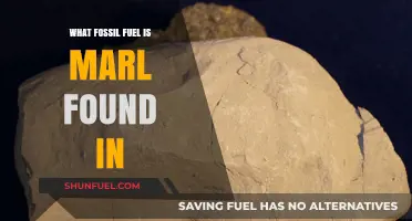 Understanding Marl: Its Fossil Fuel Origins and Environmental Significance