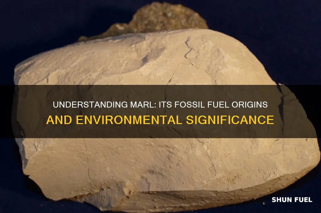 what fossil fuel is marl found in