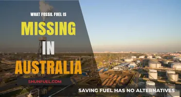 Australia's Energy Gap: Which Fossil Fuel is Absent Down Under?