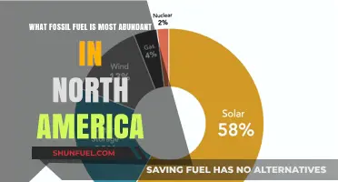 North America's Dominant Fossil Fuel: Unveiling the Most Abundant Resource