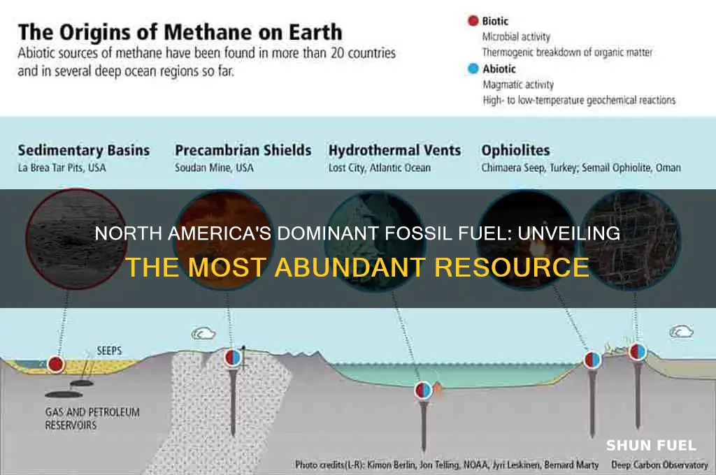 what fossil fuel is most abundant in north america
