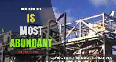 The Most Abundant Fossil Fuel: Unveiling Earth's Dominant Energy Source