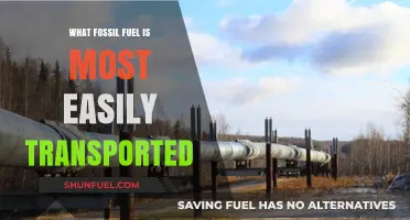 Natural Gas: The Most Transportable Fossil Fuel Explained