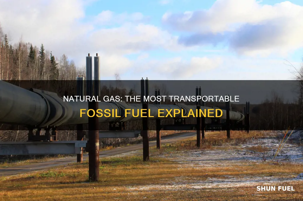 what fossil fuel is most easily transported