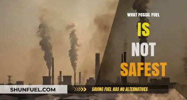 Unveiling the Most Hazardous Fossil Fuel: A Comparative Safety Analysis
