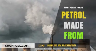 Petrol's Origins: The Fossil Fuel Source Behind Gasoline Explained