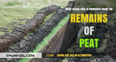 From Peat to Power: The Fossil Fuel Transformation Process