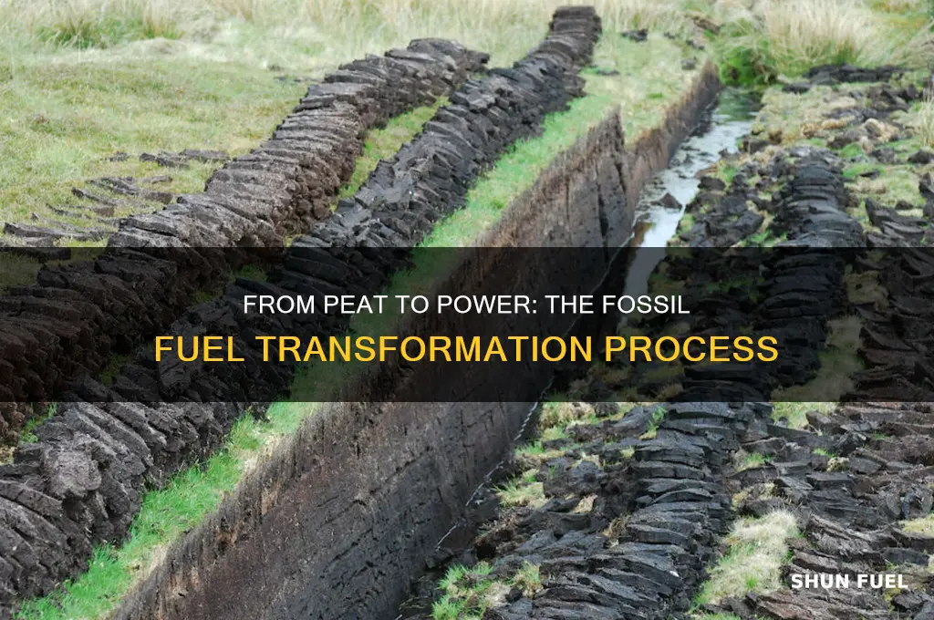what fossil fuel is produced from the remains of peat