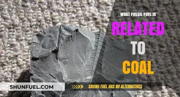 Coal's Connection: Exploring the Fossil Fuel Linked to Coal