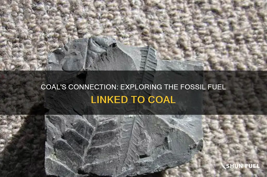 what fossil fuel is related to coal
