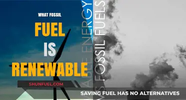 Renewable Fossil Fuels: Unraveling the Myth and Exploring Sustainable Alternatives