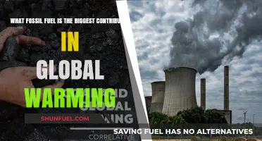 Coal's Dominance: The Leading Fossil Fuel Driving Global Warming Crisis