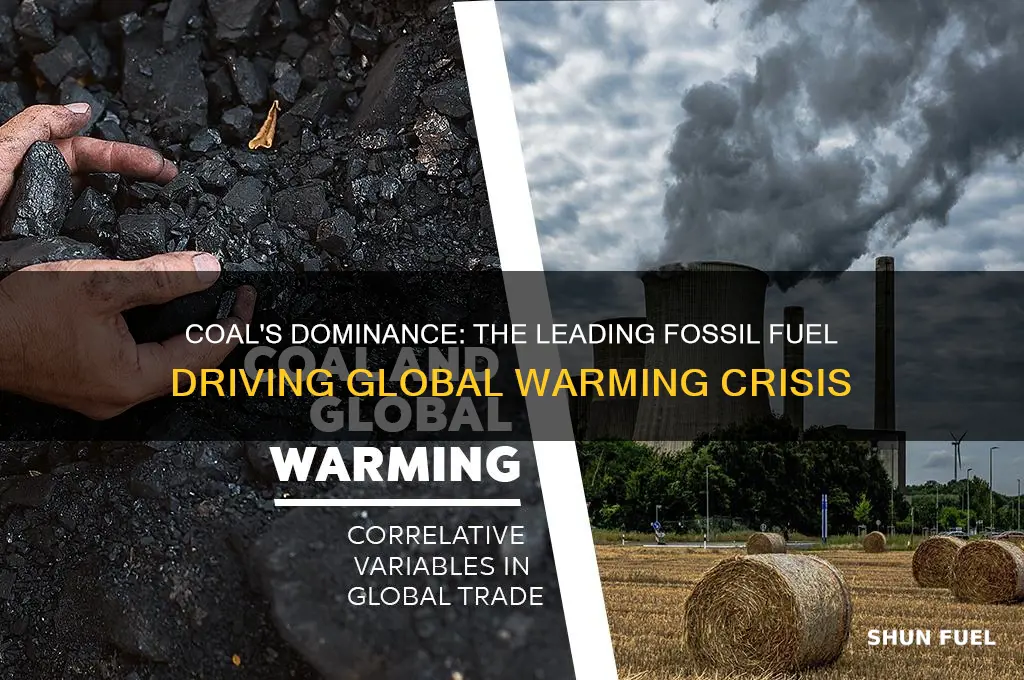 what fossil fuel is the biggest contributor in global warming