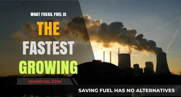 The Fastest-Growing Fossil Fuel: Unveiling the Rising Energy Dominator