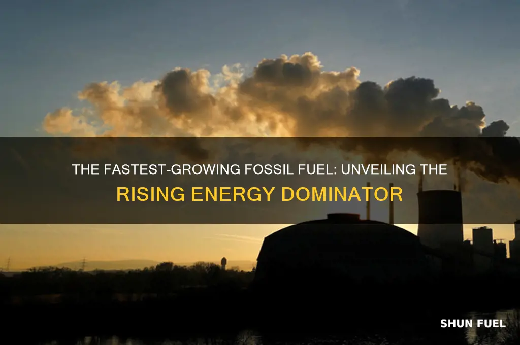 what fossil fuel is the fastest growing
