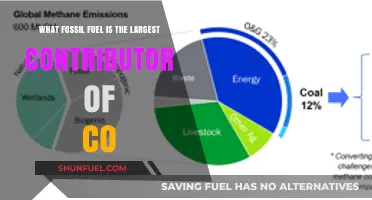 Coal's Dominance: The Leading Fossil Fuel in CO2 Emissions