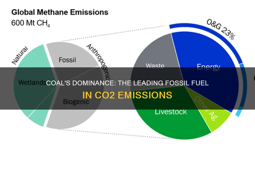 what fossil fuel is the largest contributor of co