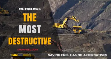 Coal's Catastrophic Impact: The Most Destructive Fossil Fuel Revealed