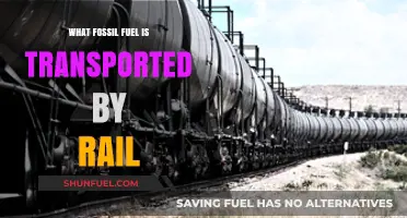Rail Transport of Fossil Fuels: Which Types Are Commonly Moved by Train?
